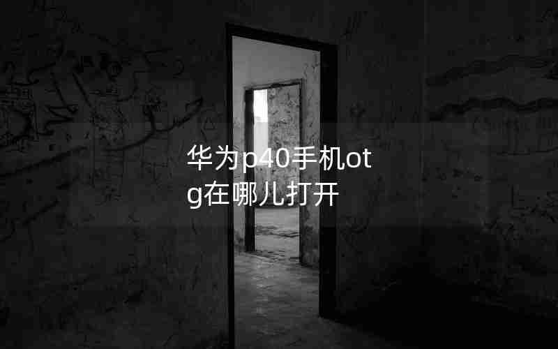 华为p40手机ot g在哪儿打开 华为p40手机ot g在哪儿打开
