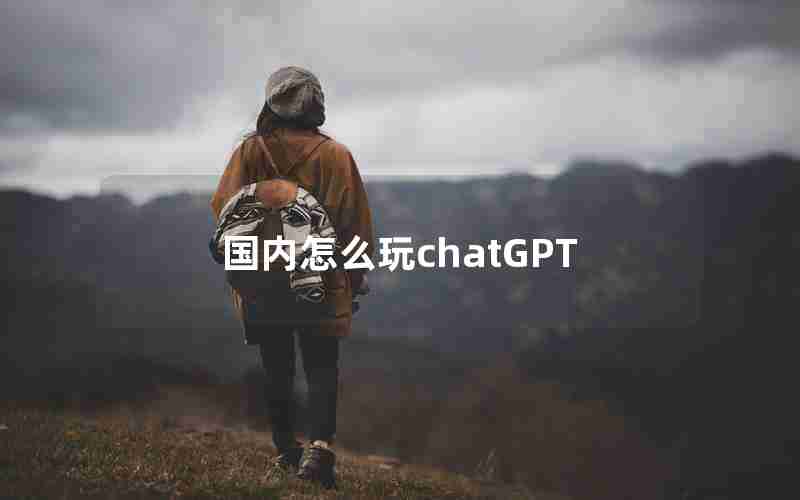 国内怎么玩chatGPT