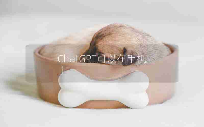 ChatGPT可以在手机上 ChatGPT可以在手机上