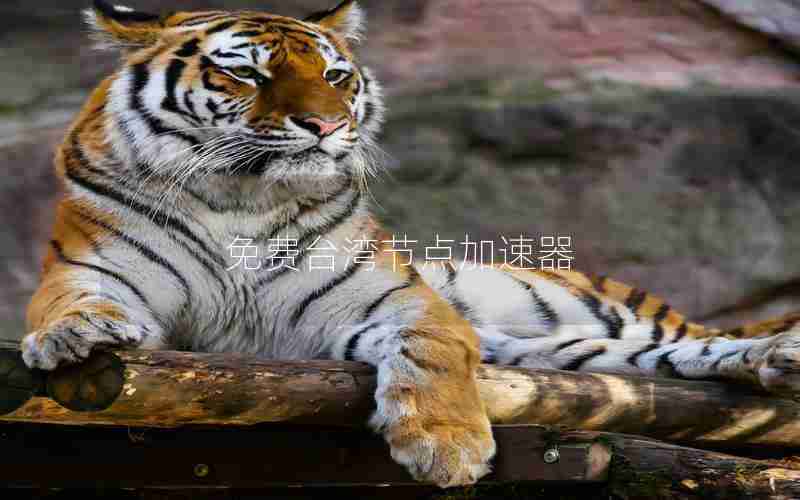 免费台湾节点加速器