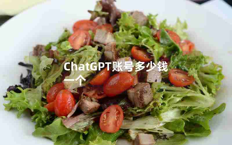 ChatGPT账号多少钱一个