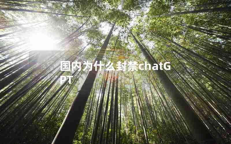 国内为什么封禁chatGPT 国内为什么封禁chatGPT