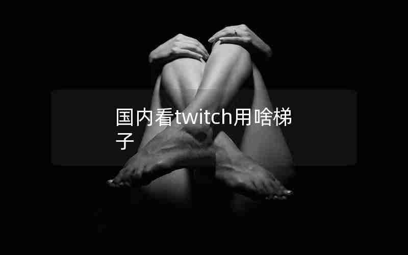 国内看twitch用啥梯子 国内看twitch用啥梯子