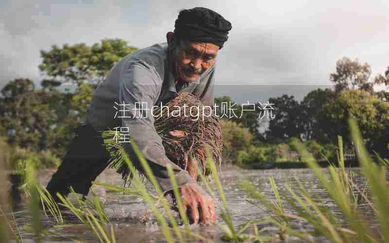 注册chatgpt账户流程