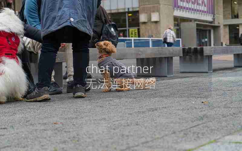 chat partner无法连接网络