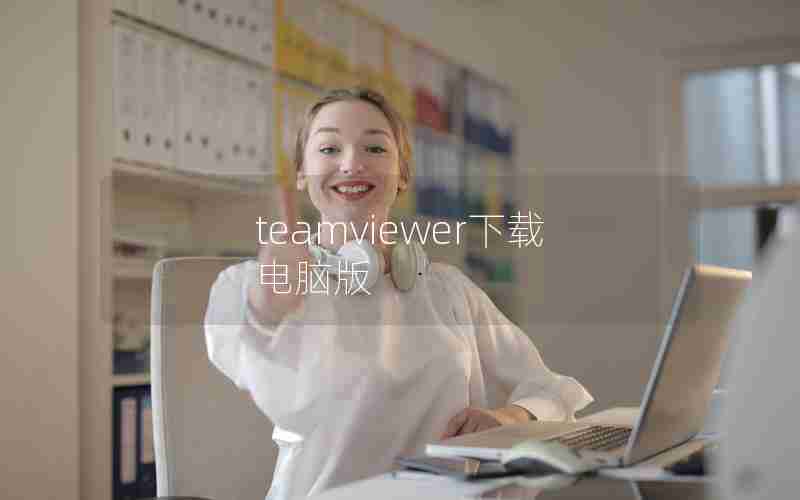 teamviewer下载电脑版