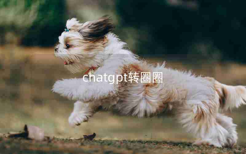 chatgpt转圈圈 chatgpt转圈圈
