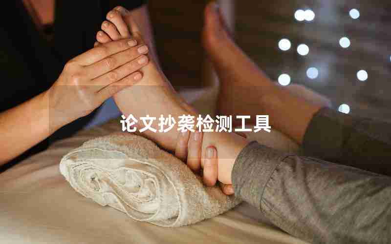 论文抄袭检测工具 论文抄袭检测工具