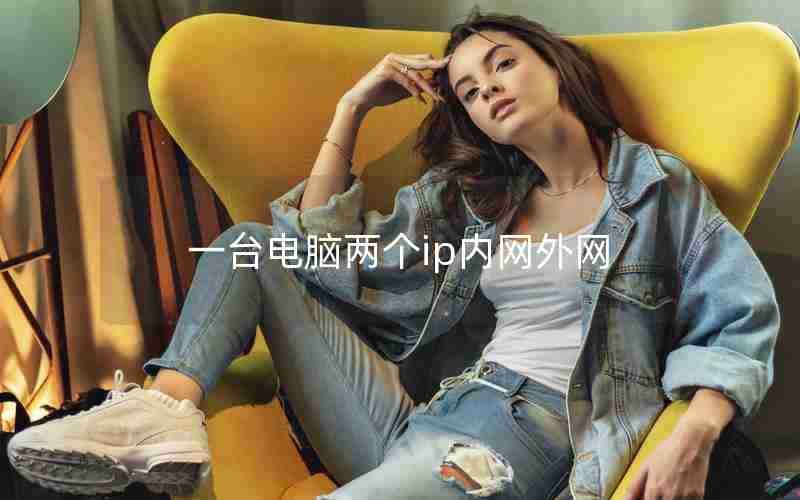 一台电脑两个ip内网外网