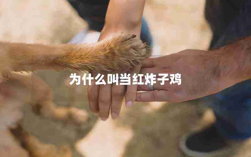 为什么叫当红炸子鸡