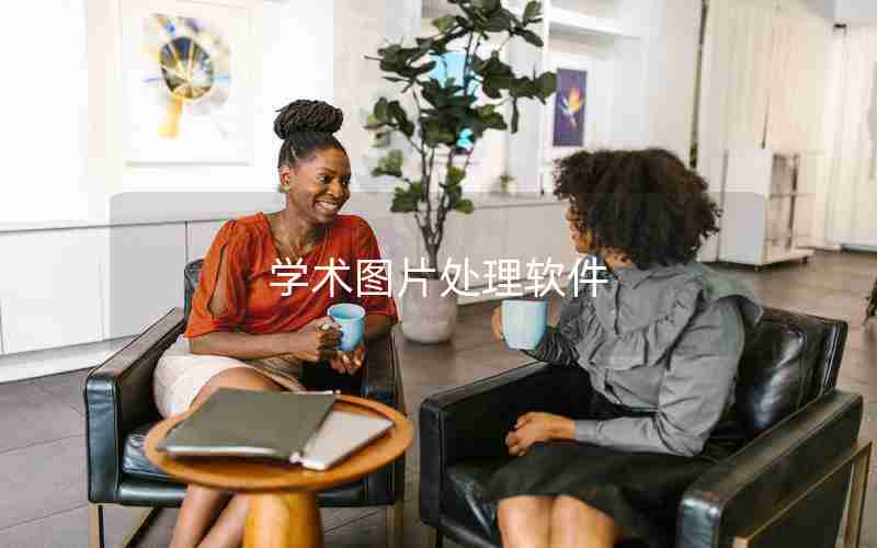 学术图片处理软件