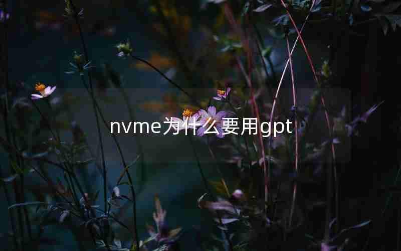 nvme为什么要用gpt nvme为什么要用gpt