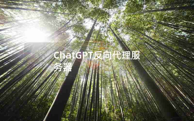 ChatGPT反向代理服务器 ChatGPT反向代理服务器