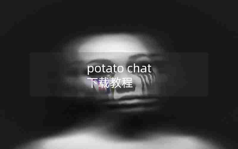 potato chat 下载教程 potato chat 下载教程