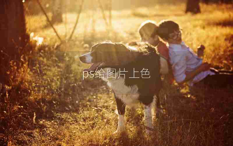 ps给图片上色 ps给图片上色