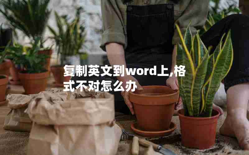 复制英文到word上,格式不对怎么办 复制英文到word上,格式不对怎么办
