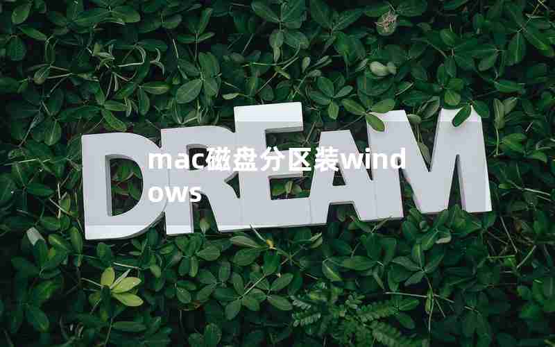 mac磁盘分区装windows mac磁盘分区装windows