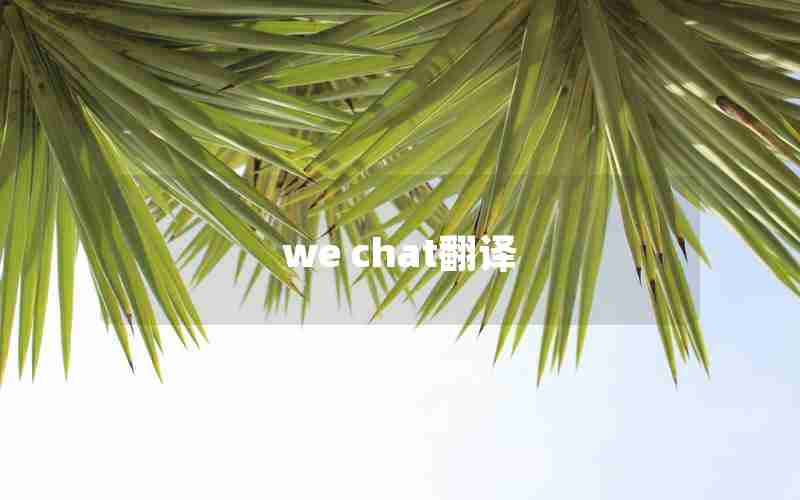 we chat翻译 we chat翻译
