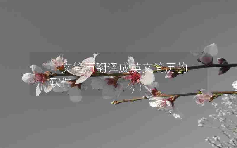 中文简历翻译成英文简历的软件