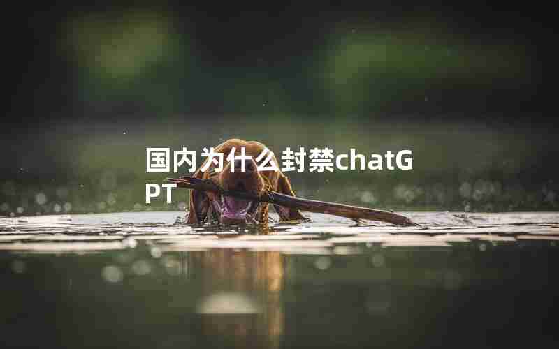 国内为什么封禁chatGPT