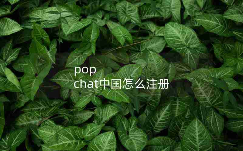 pop chat中国怎么注册 pop chat中国怎么注册