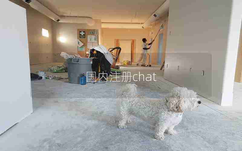 国内注册chat