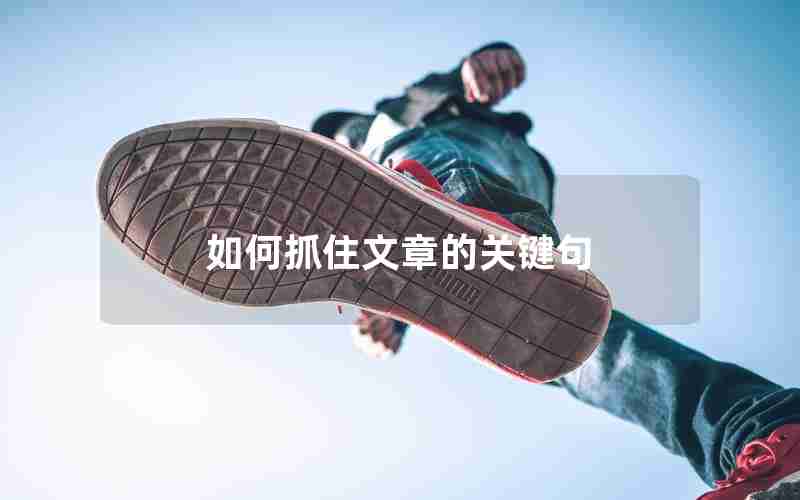 如何抓住文章的关键句 如何抓住文章的关键句