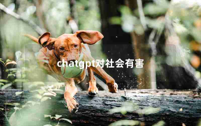 chatgpt对社会有害