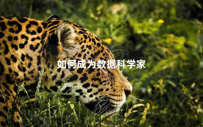 如何成为数据科学家 如何成为数据科学家