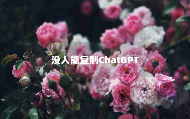 没人能复制ChatGPT 没人能复制ChatGPT