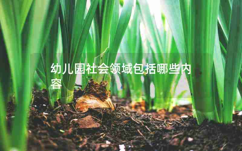 幼儿园社会领域包括哪些内容