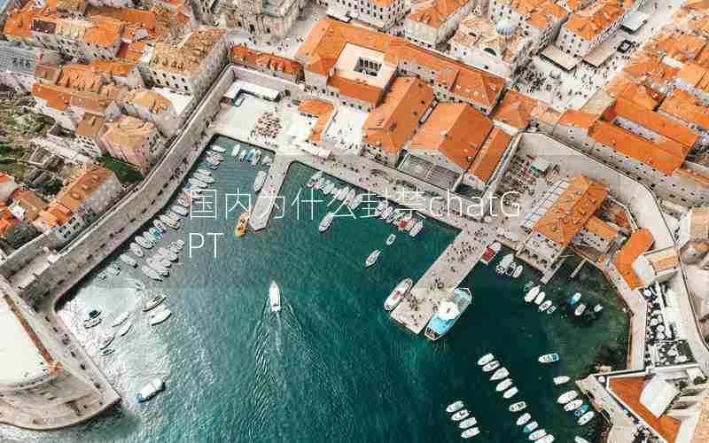 国内为什么封禁chatGPT 国内为什么封禁chatGPT