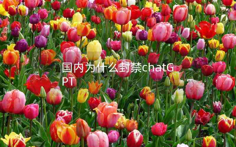 国内为什么封禁chatGPT