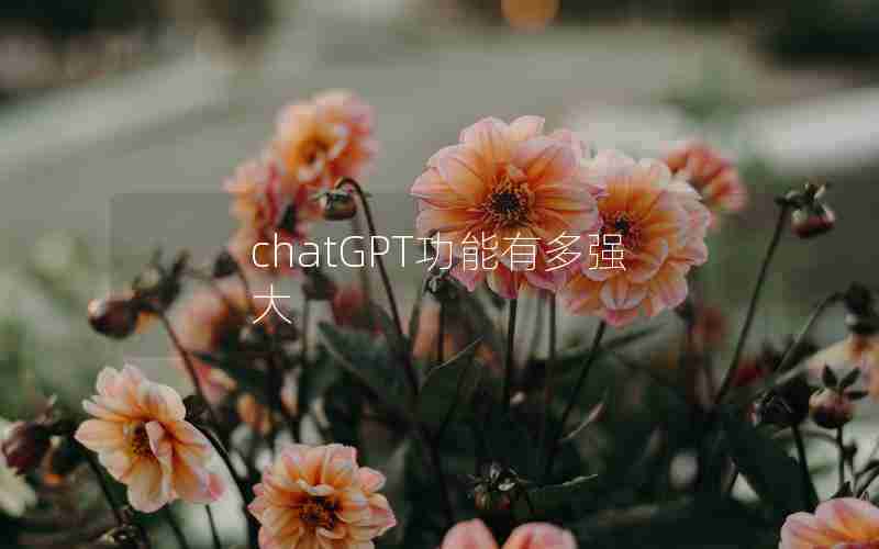 chatGPT功能有多强大