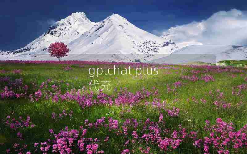 gptchat plus 代充