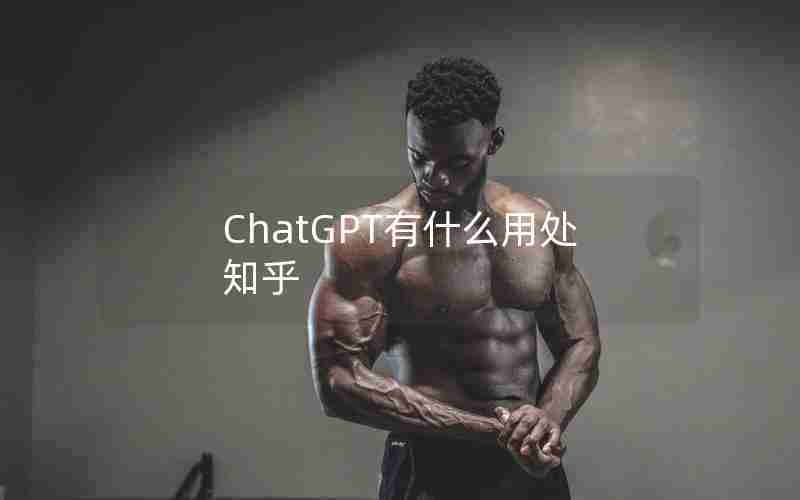 ChatGPT有什么用处知乎 ChatGPT有什么用处知乎