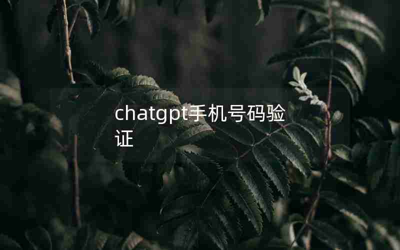 chatgpt手机号码验证 chatgpt手机号码验证