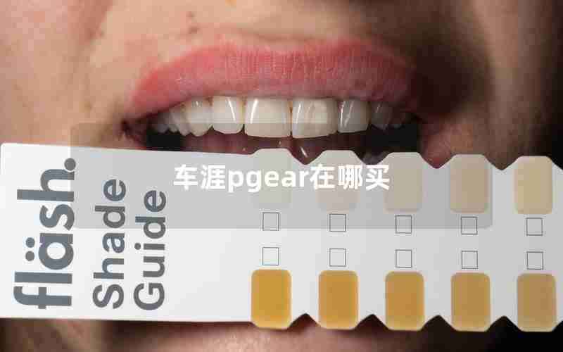 车涯pgear在哪买
