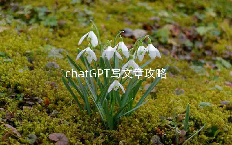 chatGPT写文章攻略 chatGPT写文章攻略