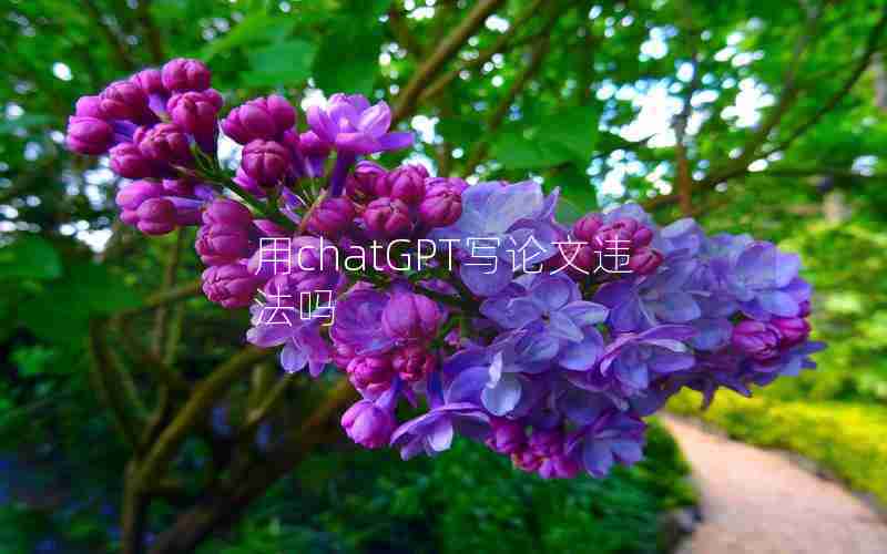 用chatGPT写论文违法吗 用chatGPT写论文违法吗