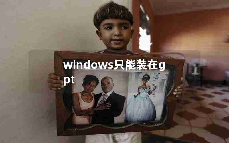 windows只能装在gpt