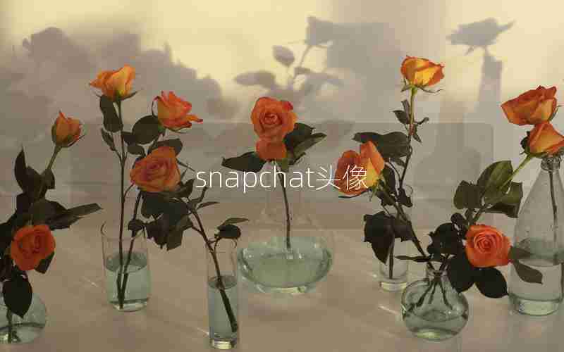 snapchat头像 snapchat头像