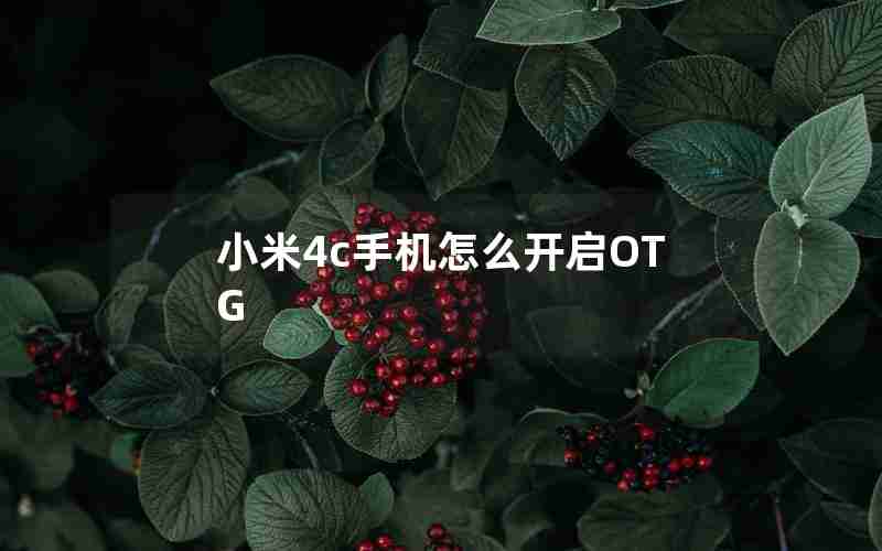 小米4c手机怎么开启OTG