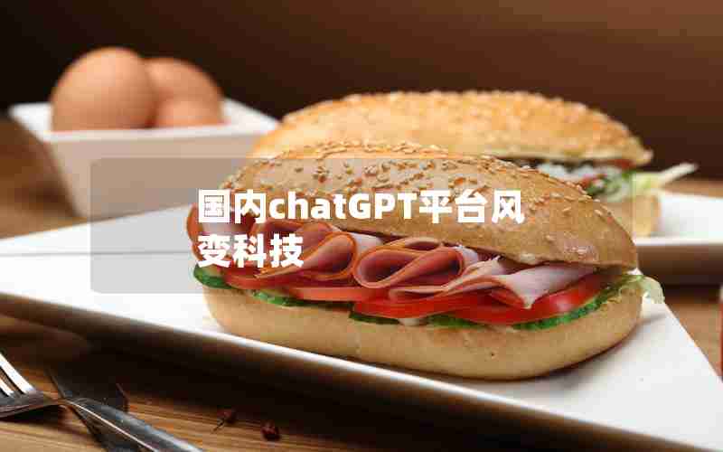 国内chatGPT平台风变科技 国内chatGPT平台风变科技