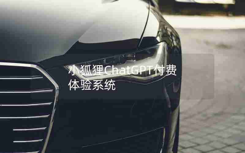 小狐狸ChatGPT付费体验系统 小狐狸ChatGPT付费体验系统