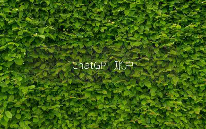 ChatGPT 账户 ChatGPT 账户