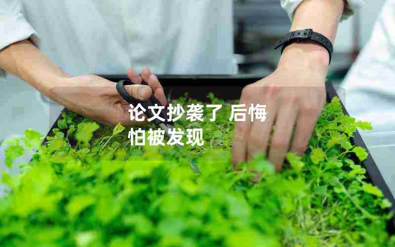 论文抄袭了 后悔 怕被发现