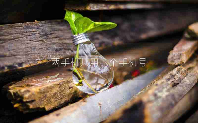 两手机共用一个手机号