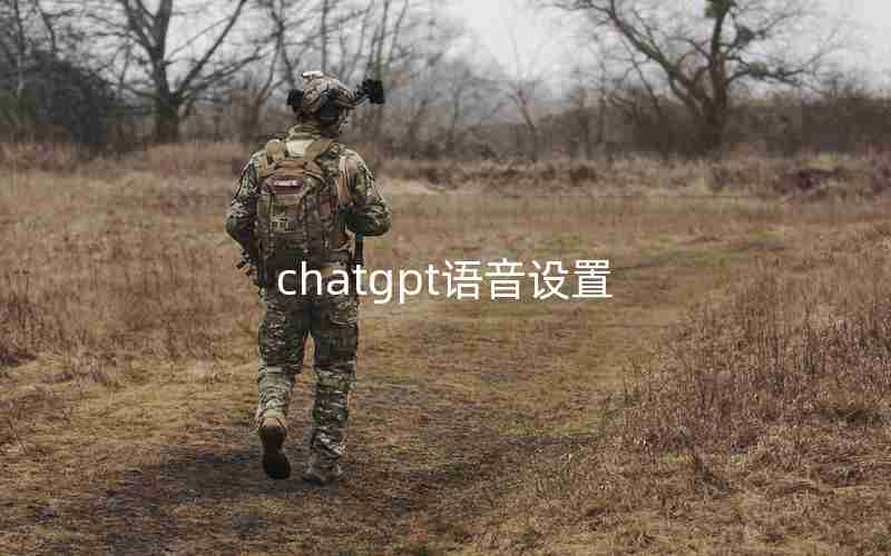 chatgpt语音设置 chatgpt语音设置