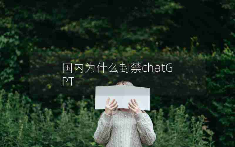 国内为什么封禁chatGPT